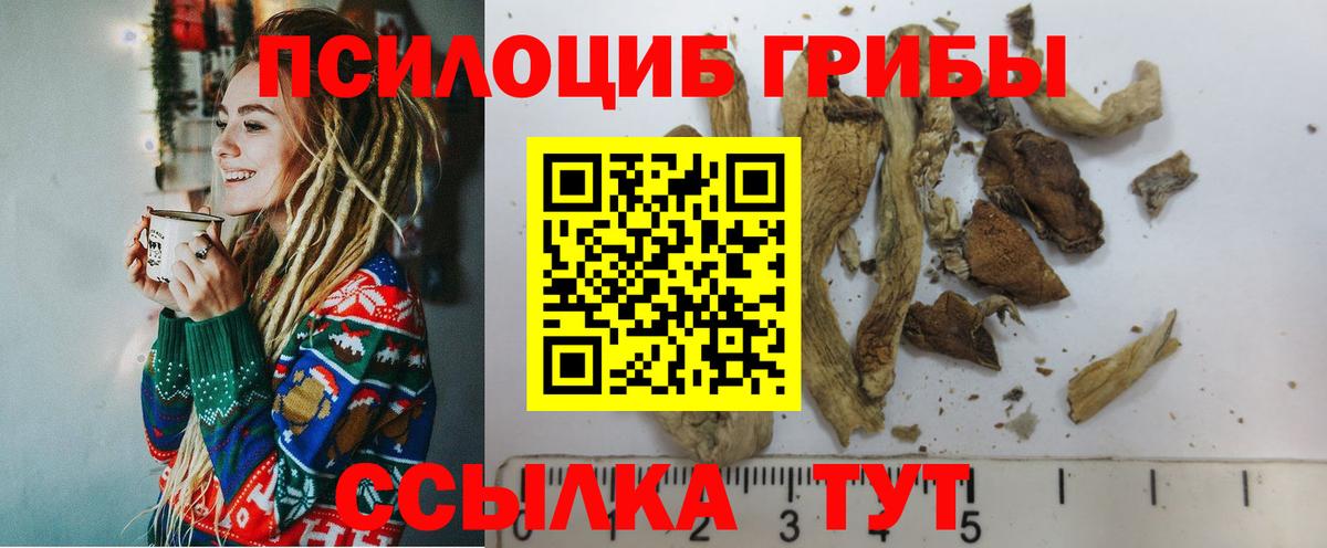 Псилоцибиновые грибы GOLDEN TEACHER Красноармейск
